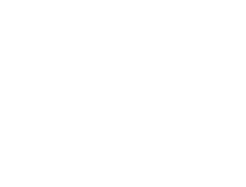 Zandraket-logo-wit_500px